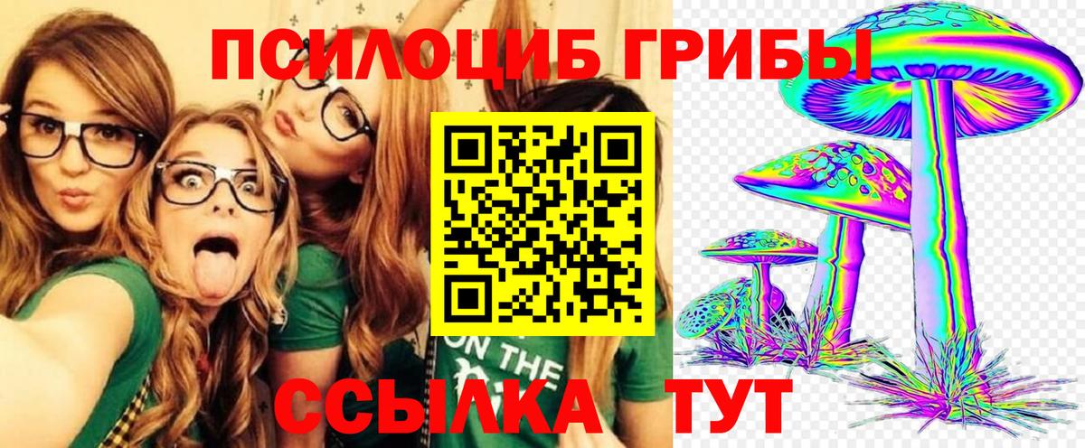 Псилоцибиновые грибы Psilocybe Назарово